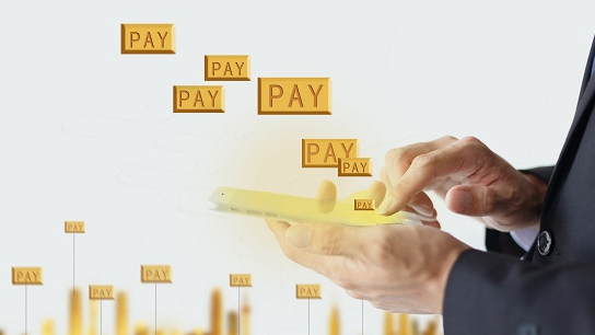 知名跨境支付公司Payoneer派安盈獲批收購持牌支付機(jī)構(gòu)易聯(lián)支付